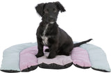 PHO_PRO_DOG_CLIP_38247-1