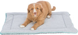 PHO_PRO_DOG_CLIP_38249-1