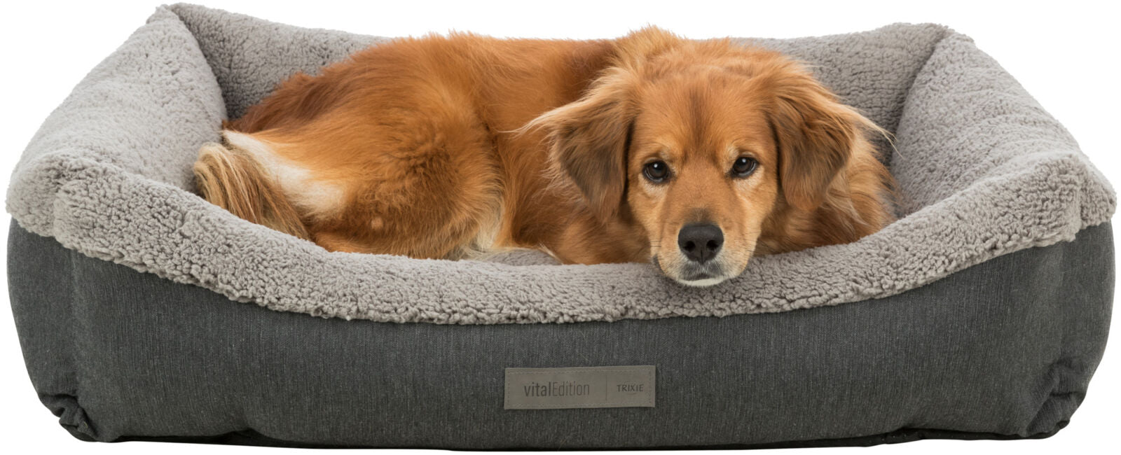 Ein brauner Hund liegt in einem grauen Hundebett mit weichem Rand, das ein Etikett mit der Aufschrift "vitalEdition TRIXIE" trägt.