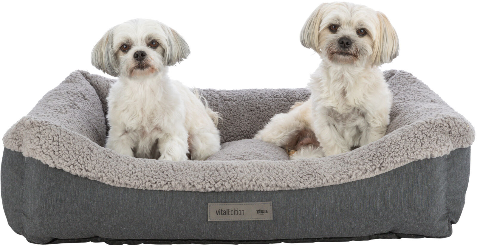 Zwei kleine Hunde sitzen in einem grauen Hundebett mit weicher, heller Innenpolsterung.