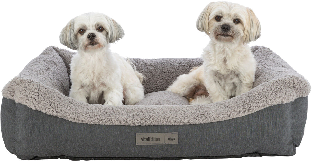 Zwei kleine Hunde sitzen in einem grauen Hundebett mit weicher, heller Innenpolsterung.