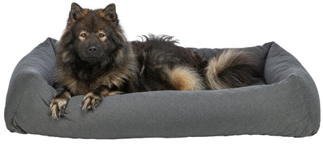 Ein großer Hund liegt auf einem grauen, rechteckigen Hundebett und schaut geradeaus.