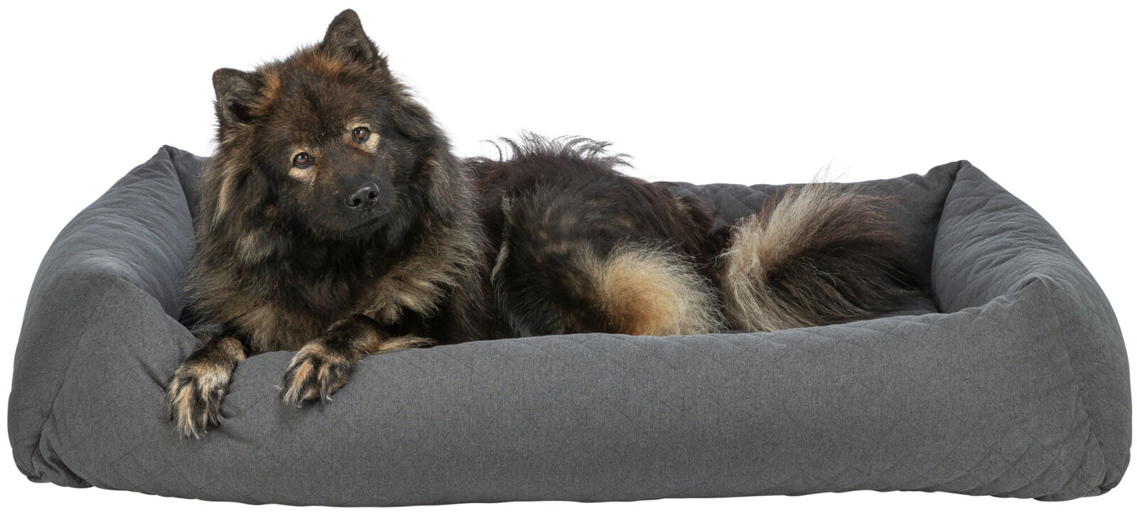 Ein großer, flauschiger Hund liegt in einem grauen Hundebett und schaut nach vorne.