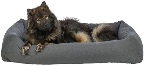 Ein großer, flauschiger Hund liegt in einem grauen Hundebett und schaut nach vorne.
