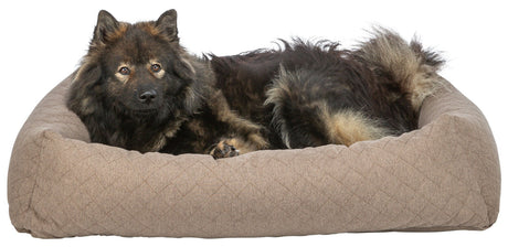 Hund mit dunklem Fell liegt in einem großen, hellbraunen Hundebett auf weißem Hintergrund.