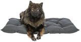 PHO_PRO_DOG_CLIP_384110-384111-384112-384113-2