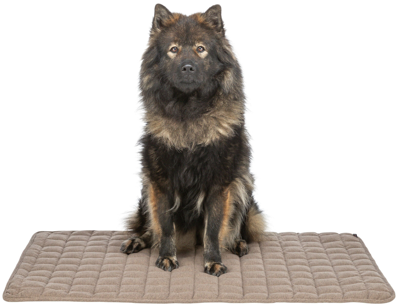 Ein großer, flauschiger Hund sitzt auf einer rechteckigen, gesteppten, beigen Matte vor weißem Hintergrund.