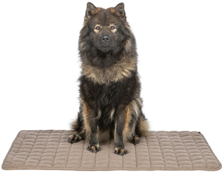 Ein großer, flauschiger Hund sitzt auf einer rechteckigen, gesteppten, beigen Matte vor weißem Hintergrund.