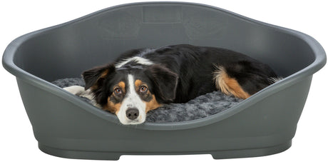 Hund liegt entspannt in einem grauen Kunststoffbett mit weichem, grauem Kissen.