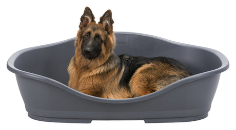 Ein Hund liegt in einem grauen Kunststoffbett und blickt in die Kamera.