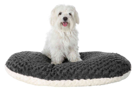 Ein weißer Hund sitzt auf einem runden, grauen und flauschigen Kissen vor einem weißen Hintergrund.