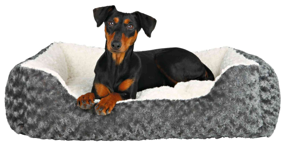 Ein schwarzer Hund liegt in einem grauen, plüschigen Bett mit weißem Innenfutter.