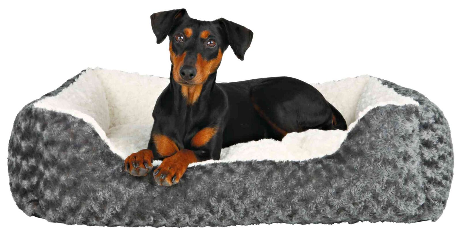 Ein schwarzer Hund liegt in einem grauen, plüschigen Bett mit weißem Innenfutter.