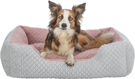 Hund liegt in einem grau-rosa Hundebett mit strukturierter Oberfläche, Blick nach vorne gerichtet.