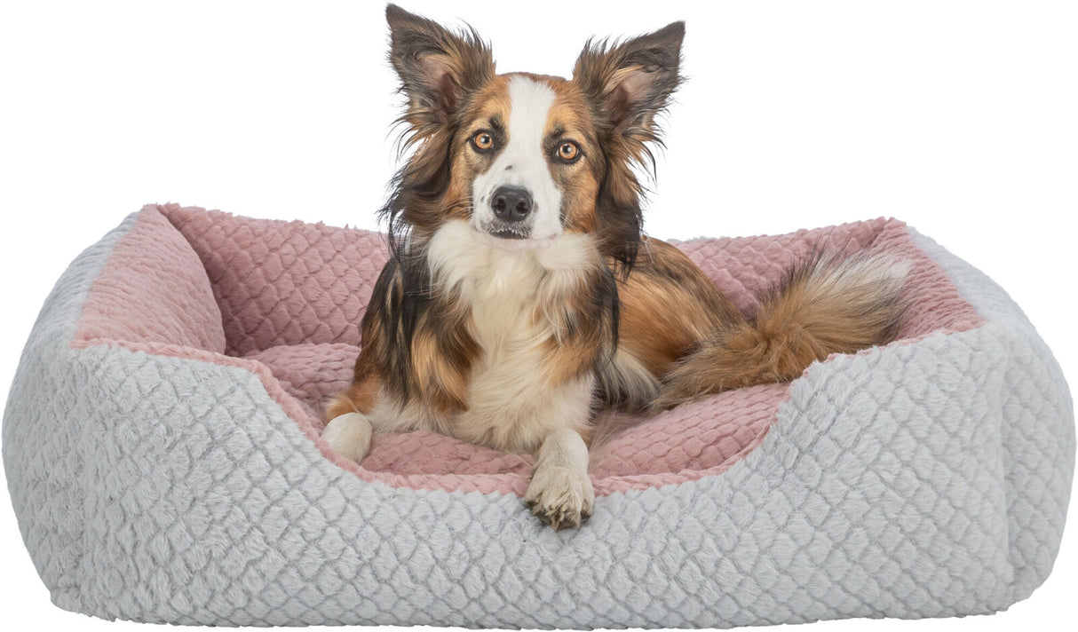 Hund liegt in einem grau-rosa Hundebett mit strukturierter Oberfläche, Blick nach vorne gerichtet.