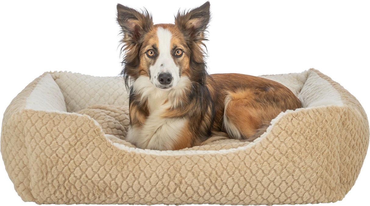 Ein Hund liegt in einem gepolsterten, cremefarbenen Hundebett mit strukturierter Oberfläche.