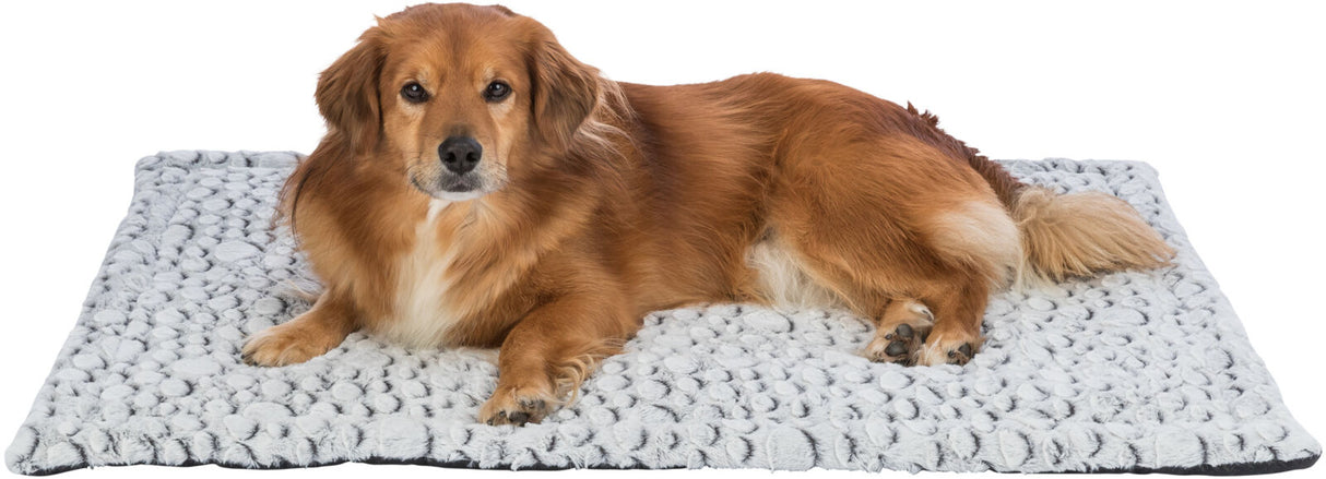 Ein Hund liegt auf einer grauen, strukturierten Decke und schaut direkt in die Kamera.
