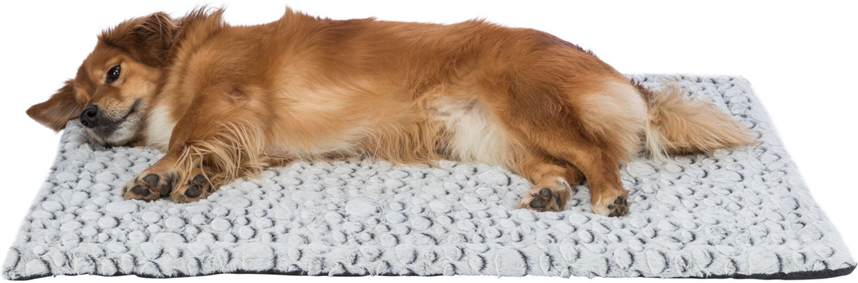 Ein brauner Hund liegt entspannt auf einer grauen, strukturierten Decke aus Plüsch.