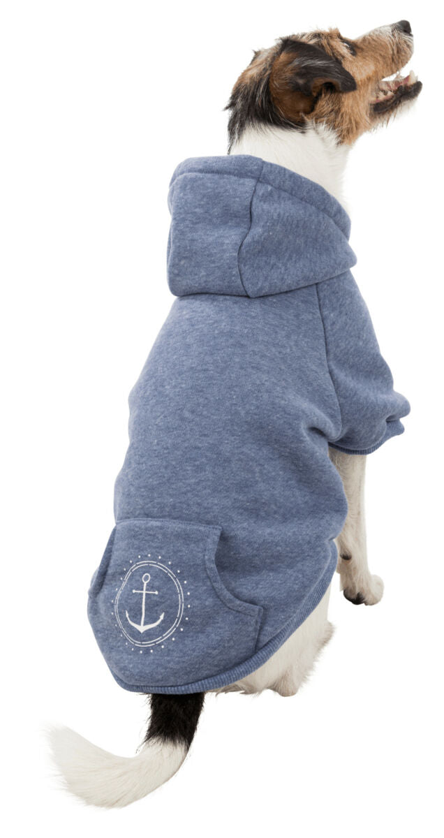 Hund trägt blauen Pullover mit Ankerdesign auf dem Rücken, sitzt nach links gewandt, weiße und braune Fellfarbe sichtbar.