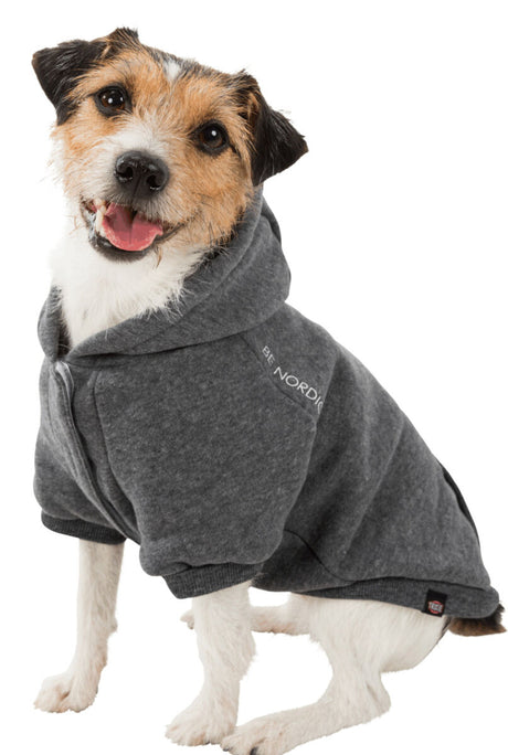 Ein kleiner, schwarz-weißer Hund trägt einen grauen Hoodie mit der Aufschrift "Be Nordic" auf weißem Hintergrund.