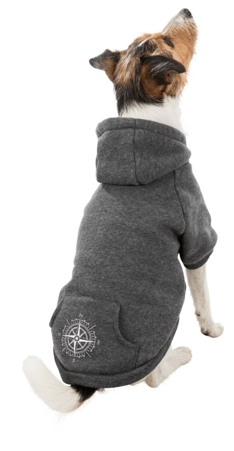 Hund von hinten in einem grauen Hoodie mit Kapuze und Kompass-Design auf der Rückseite.