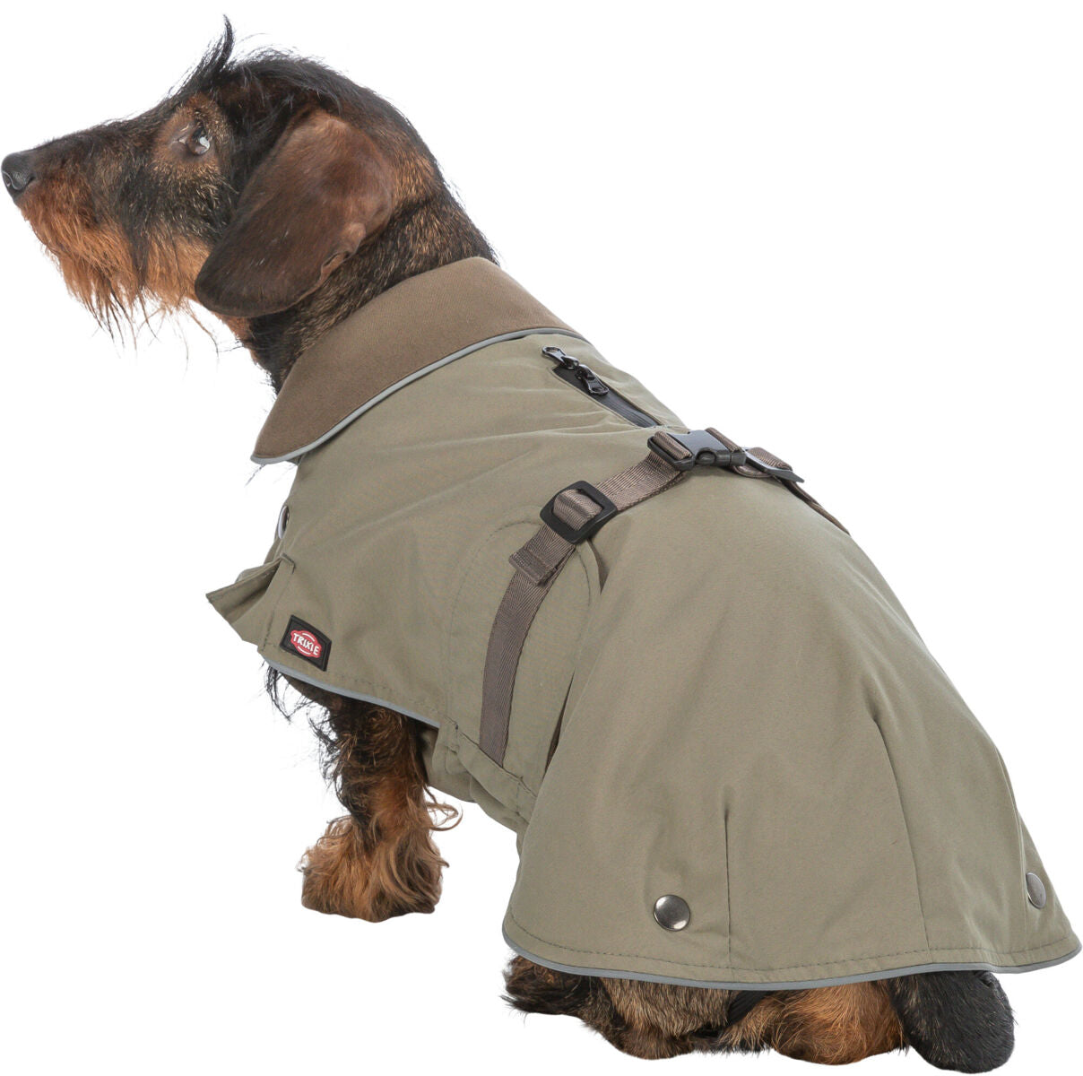 Ein Hund mit einem khakifarbenen Mantel mit braunem Kragen und verstellbaren Riemen sitzt seitlich.