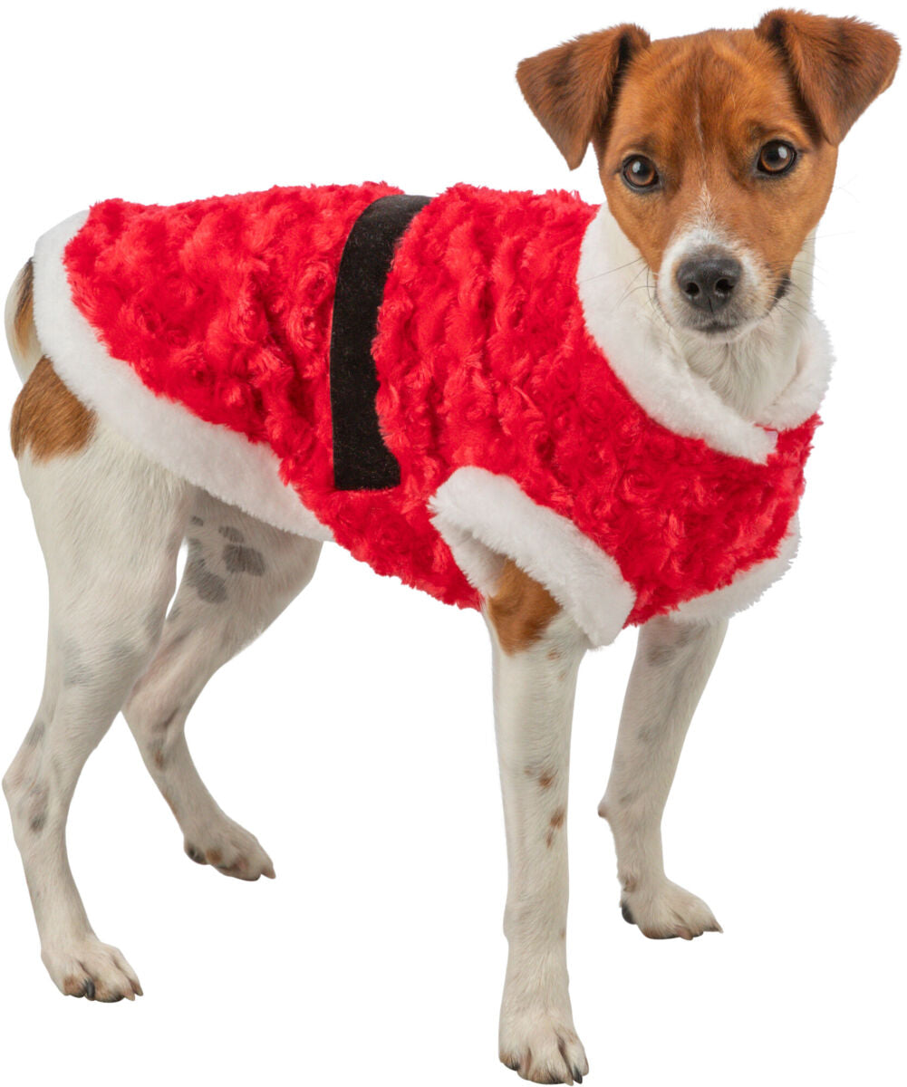 Hund in roter, mit Fell gefütterter Kleidung, schwarze Gürteloptik, weiße Ränder, stehend.