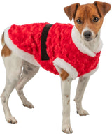 Hund in roter, mit Fell gefütterter Kleidung, schwarze Gürteloptik, weiße Ränder, stehend.