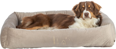 Ein braun-weißer Hund liegt in einem beigen Hundebett mit gesticktem Haus- und Baumdesign.