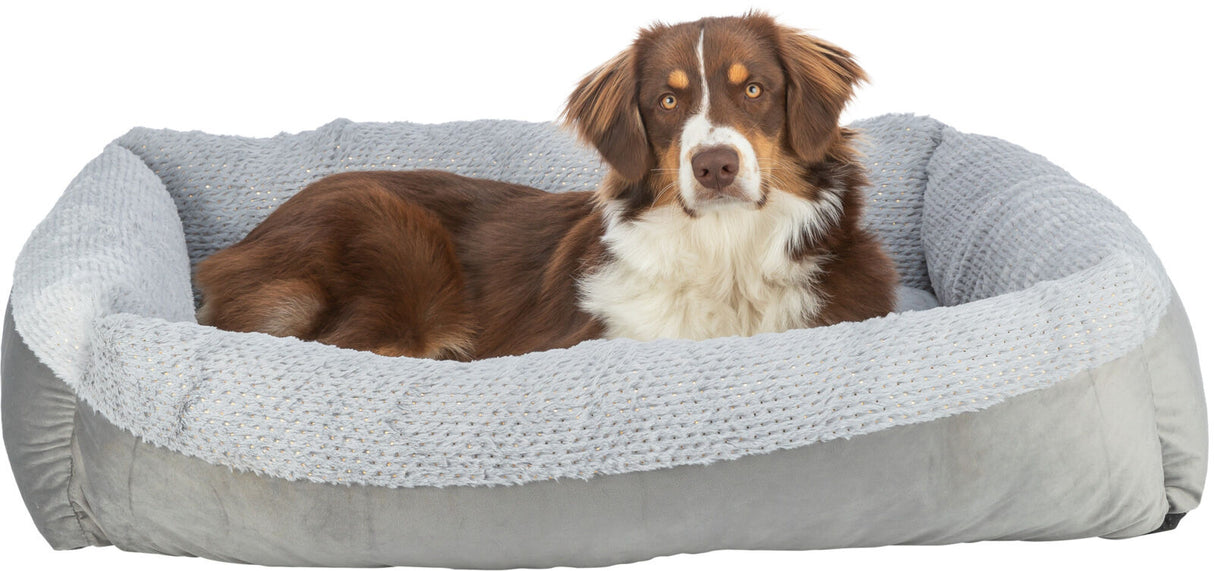 Ein braun-weiß gefleckter Hund liegt in einem weichen, hellgrauen Hundebett mit samtiger Oberfläche.