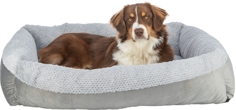 Ein braun-weiß gefleckter Hund liegt in einem weichen, hellgrauen Hundebett mit samtiger Oberfläche.