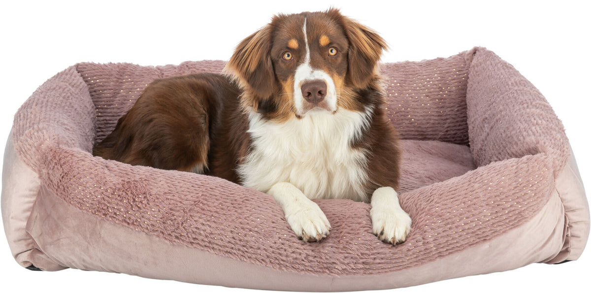 Hund liegt in einem plüschigen, rosa Hundebett.