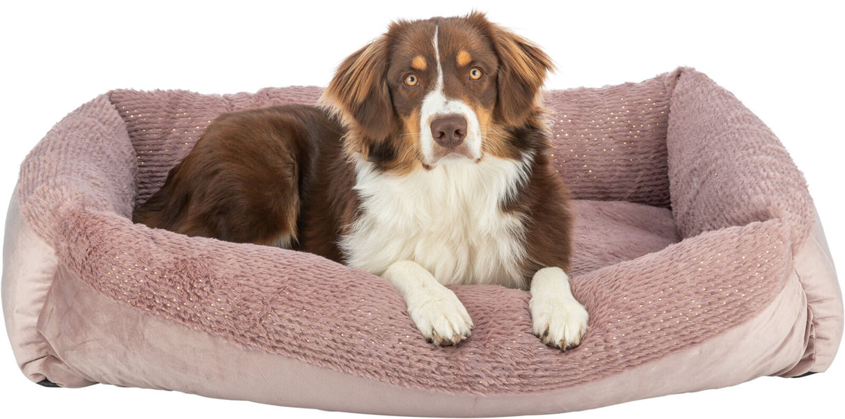 Hund liegt in einem plüschigen, rosa Hundebett.