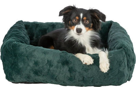 Ein Hund liegt in einem dunkelgrünen, flauschigen Hundebett und schaut in die Kamera.