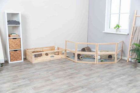 Holzgehege mit zwei Meerschweinchen auf hellem Holzboden, rechts Fenster mit Pflanze, links weißes Regal.