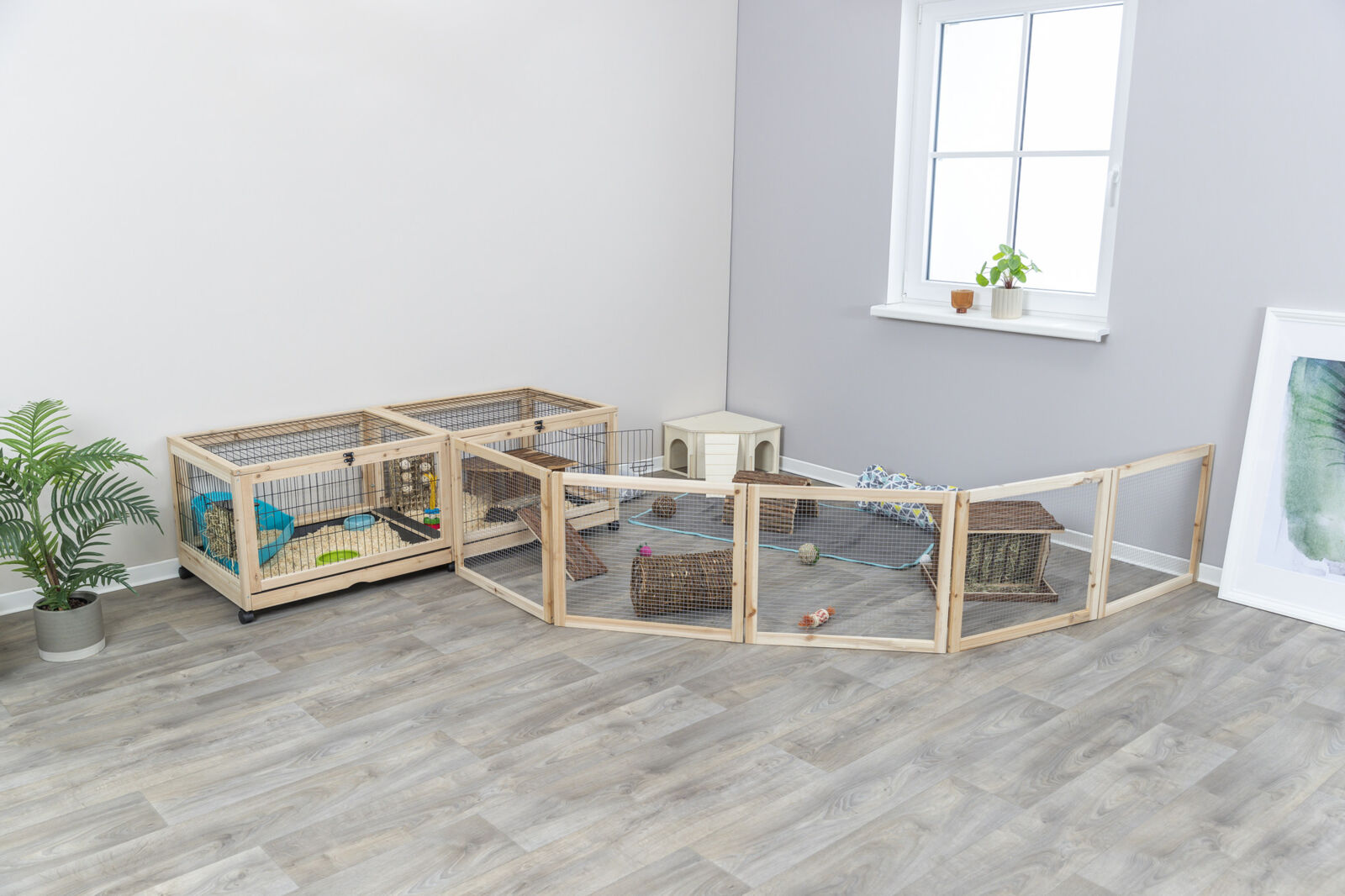 PHO_PRO_GROUP_62487-62481-1