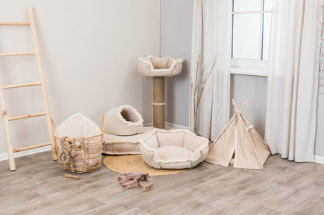 Wohnraum mit beige Hundebetten, Katzenhöhle und Kratzbaum auf hellem Holzboden, Leiter an der Wand.