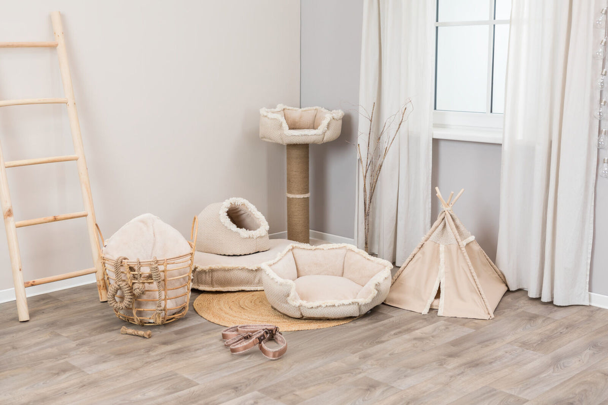 Wohnraum mit beige Hundebetten, Katzenhöhle und Kratzbaum auf hellem Holzboden, Leiter an der Wand.