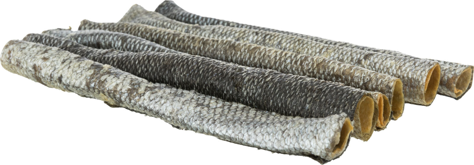 Fünf längliche, hohle Stangen mit schuppiger, grau-bräunlicher Oberfläche liegen auf einer weißen Fläche.