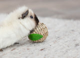 PHO_PRO_SANIMAL_61823-2