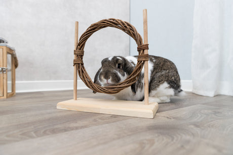 Ein Kaninchen sitzt auf einem Holzboden hinter einem Holzspielzeug mit einem runden, geflochtenen Ring.