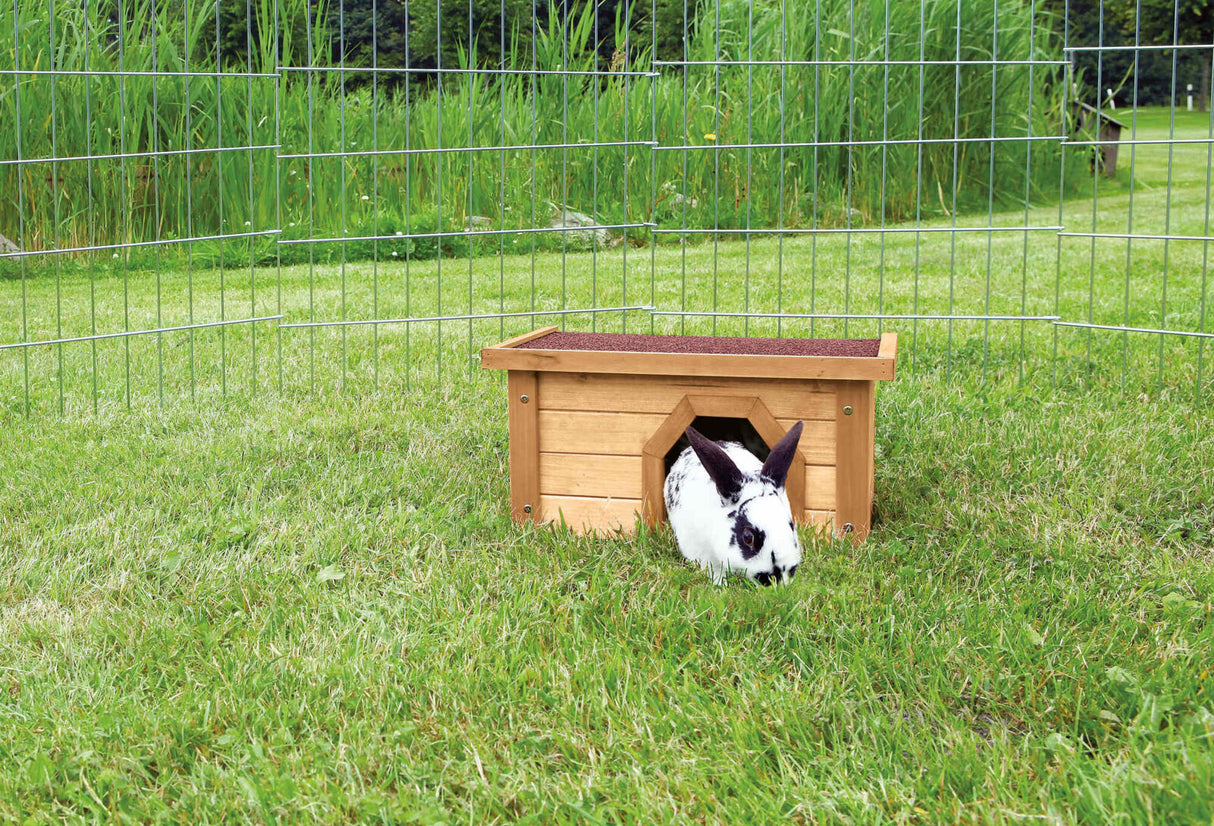 Kaninchen sitzt im Gras vor einem kleinen Holzhäuschen in einem Freigehege mit grünem Hintergrund.