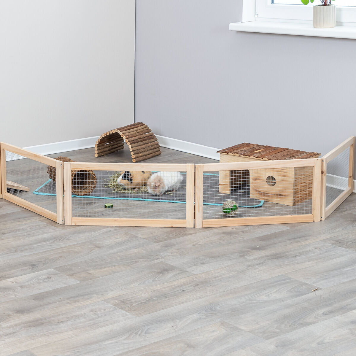 Indoor Freilaufgehege