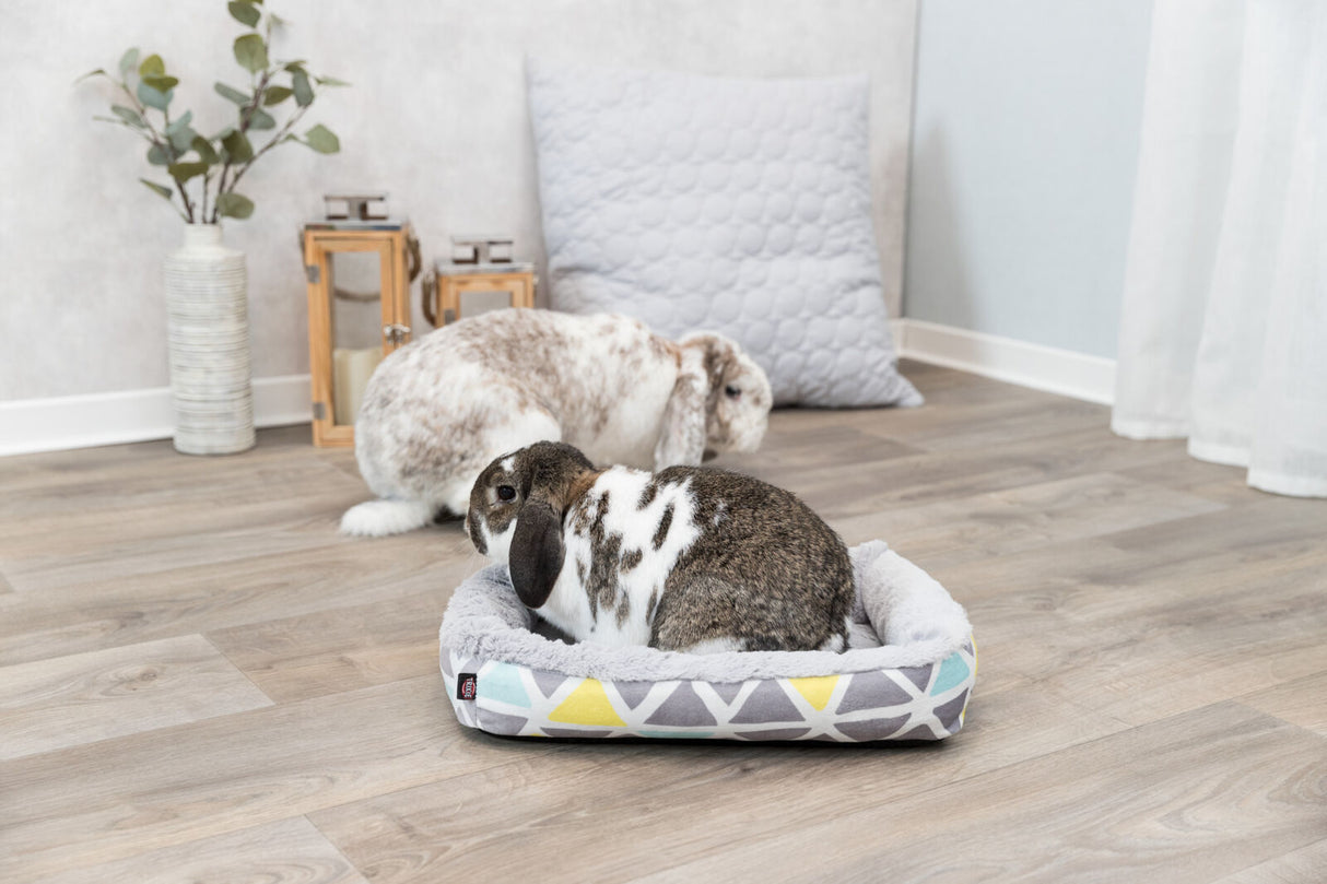 Zwei Kaninchen auf hellem Holzboden, eines sitzt in einem kleinen, bunten Bett, das andere sitzt daneben.