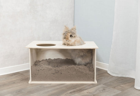 Langes, flauschiges Kaninchen sitzt teilweise in einem Holzkasten auf einem Holzboden, Kasten mit Sand gefüllt.