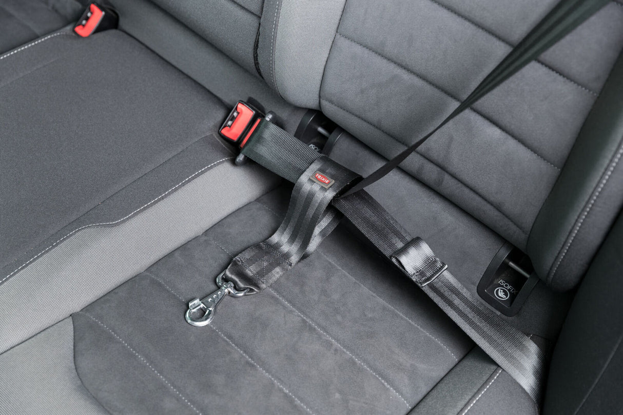 Sicherheitsgurt mit integriertem Gurtclip und ISOFIX-Symbol auf einer grauen Autositzbank.