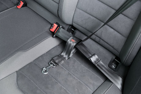 Sicherheitsgurt mit integriertem Gurtclip und ISOFIX-Symbol auf einer grauen Autositzbank.