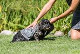 Sommer-Set für Hunde, Handtuch und Leuchtturm Wasserspielzeug
