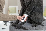 Eine Person trimmt das schwarze Fell eines sitzenden Hundes mit einem weißen, elektrischen Rasierer.