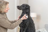 Eine Person in einem braunen Pullover hält ein Gerät an den Hals eines großen, lockigen schwarzen Hundes in einem Wohnzimmer.